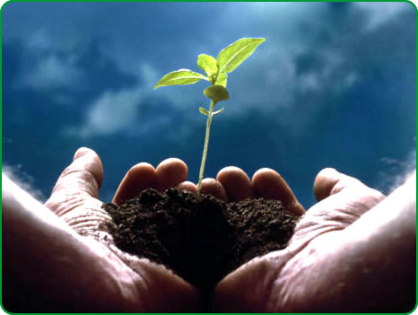 Cove Farms, Where new life is born.